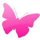 Kupu